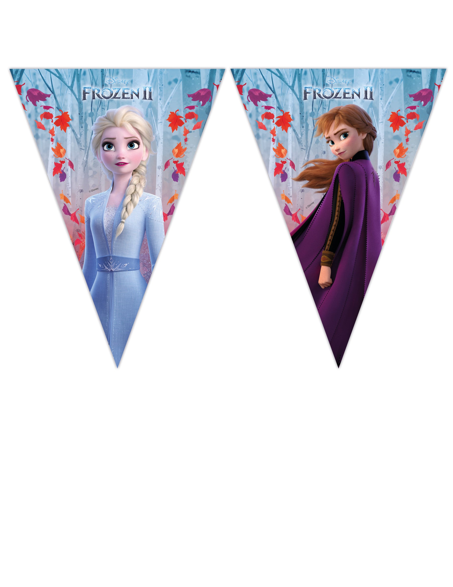 Guirlande Fanions La Reine des Neiges 2 - 230 cm