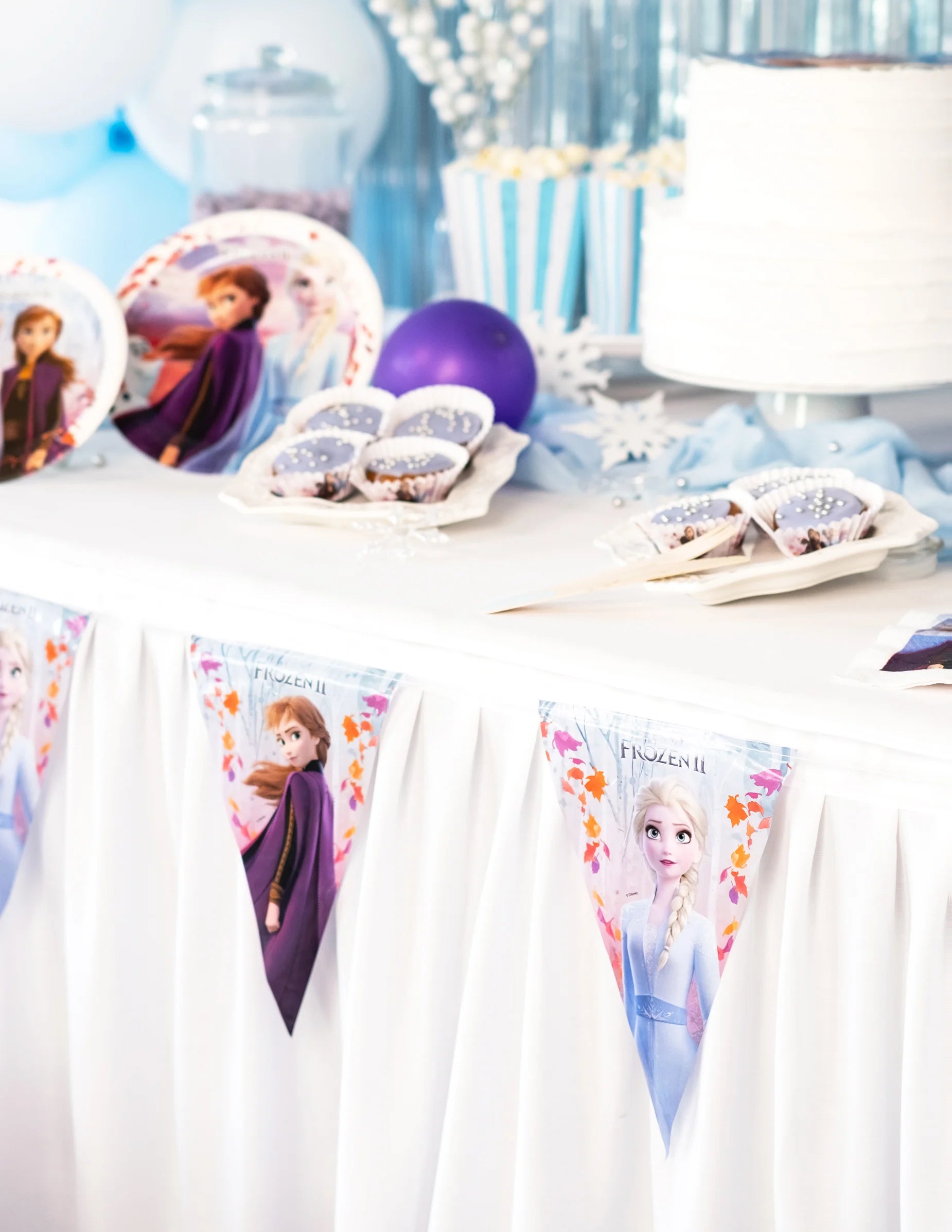 Guirlande Fanions La Reine des Neiges 2 - 230 cm