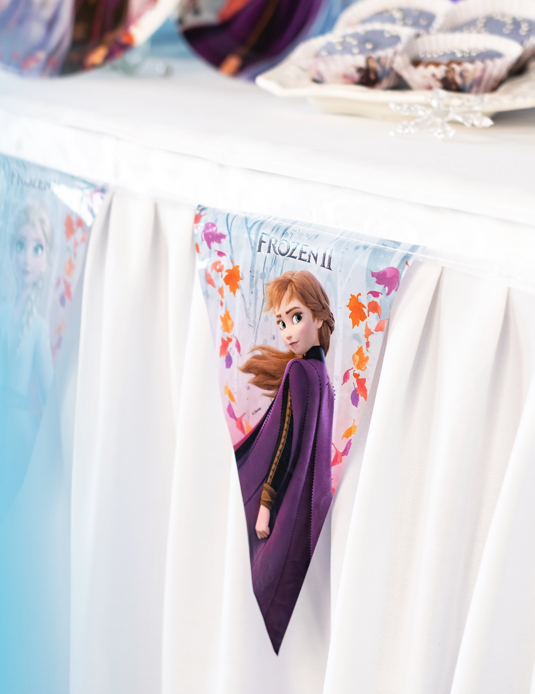 Guirlande Fanions La Reine des Neiges 2 - 230 cm